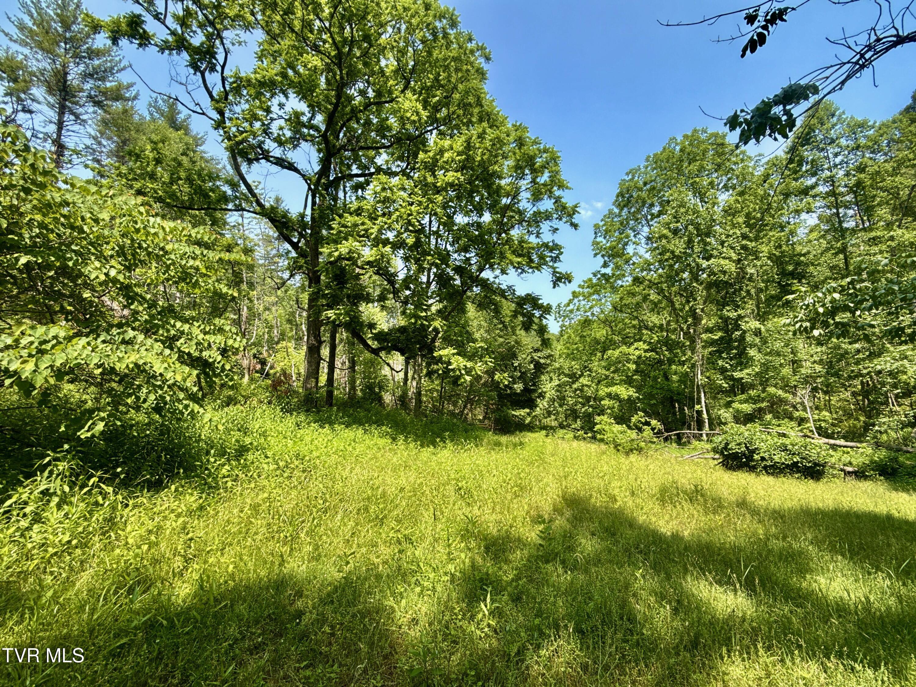 Image 3: _Pic3jpg