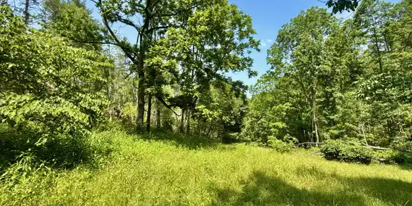 Image 3: _Pic3jpg