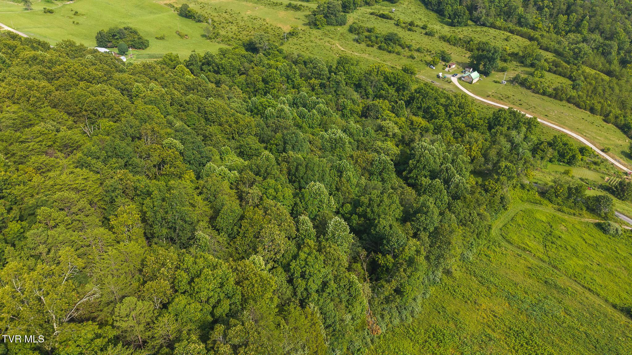 Image 2: DJI_20250716171208_0755_D