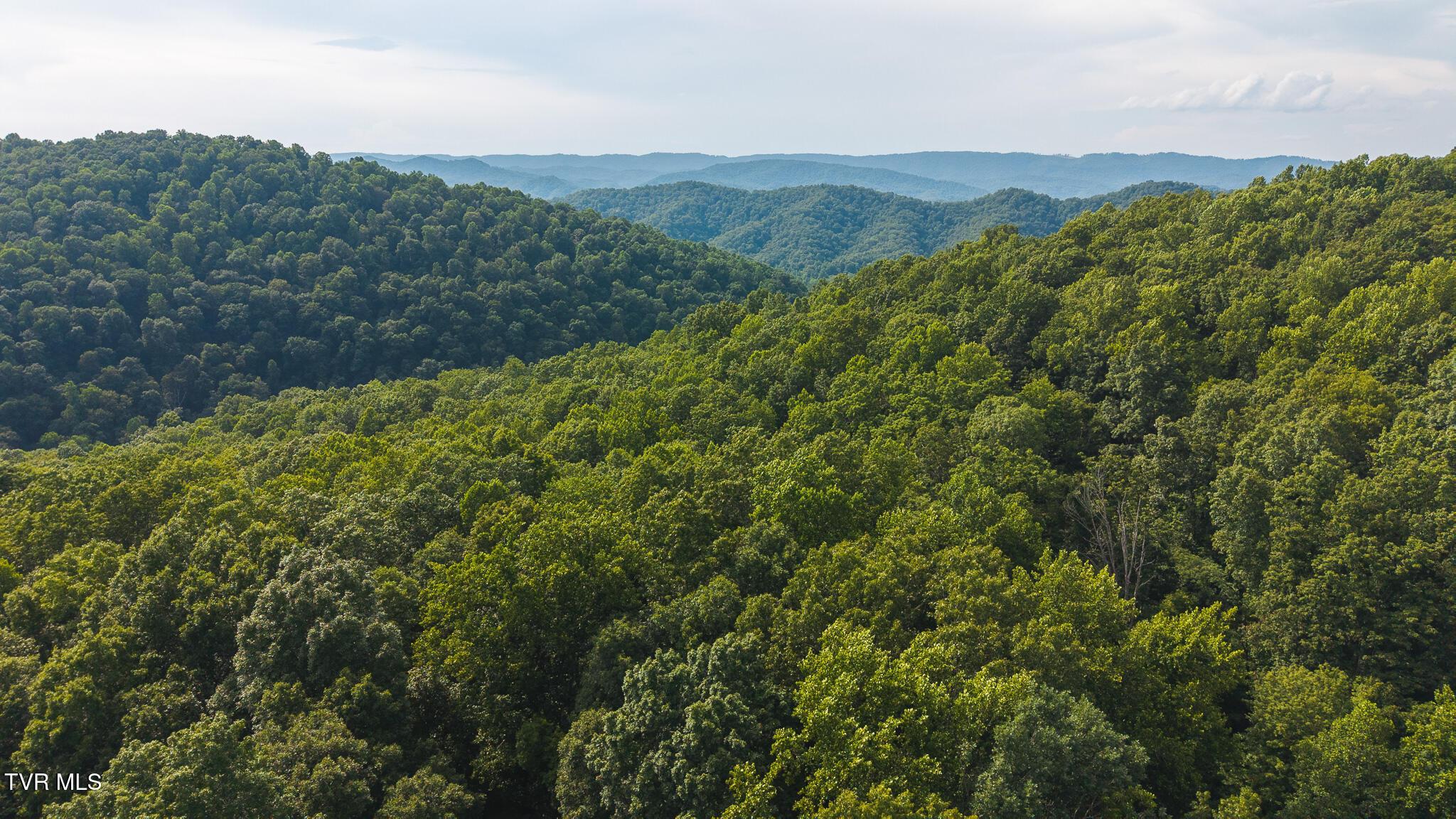 Image 3: DJI_20250716171103_0751_D