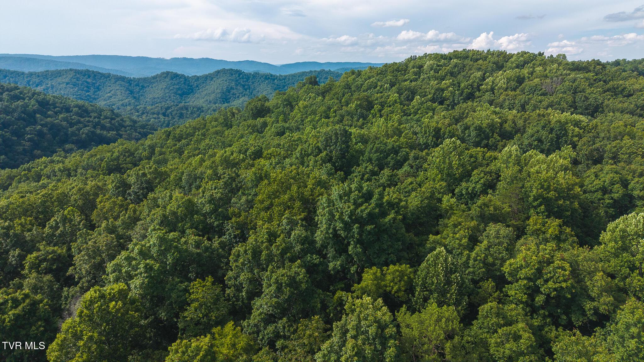 Image 4: DJI_20250716171023_0749_D