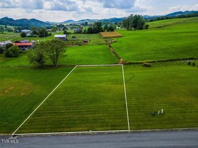 Lot 43 Walnut Grove Drive