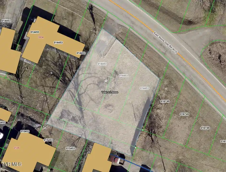 Image 1: WISE COUNTY GIS SATELLITE VIEW