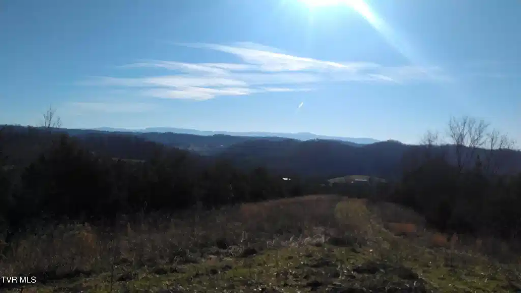 Image 1: Roaring Fork Rd