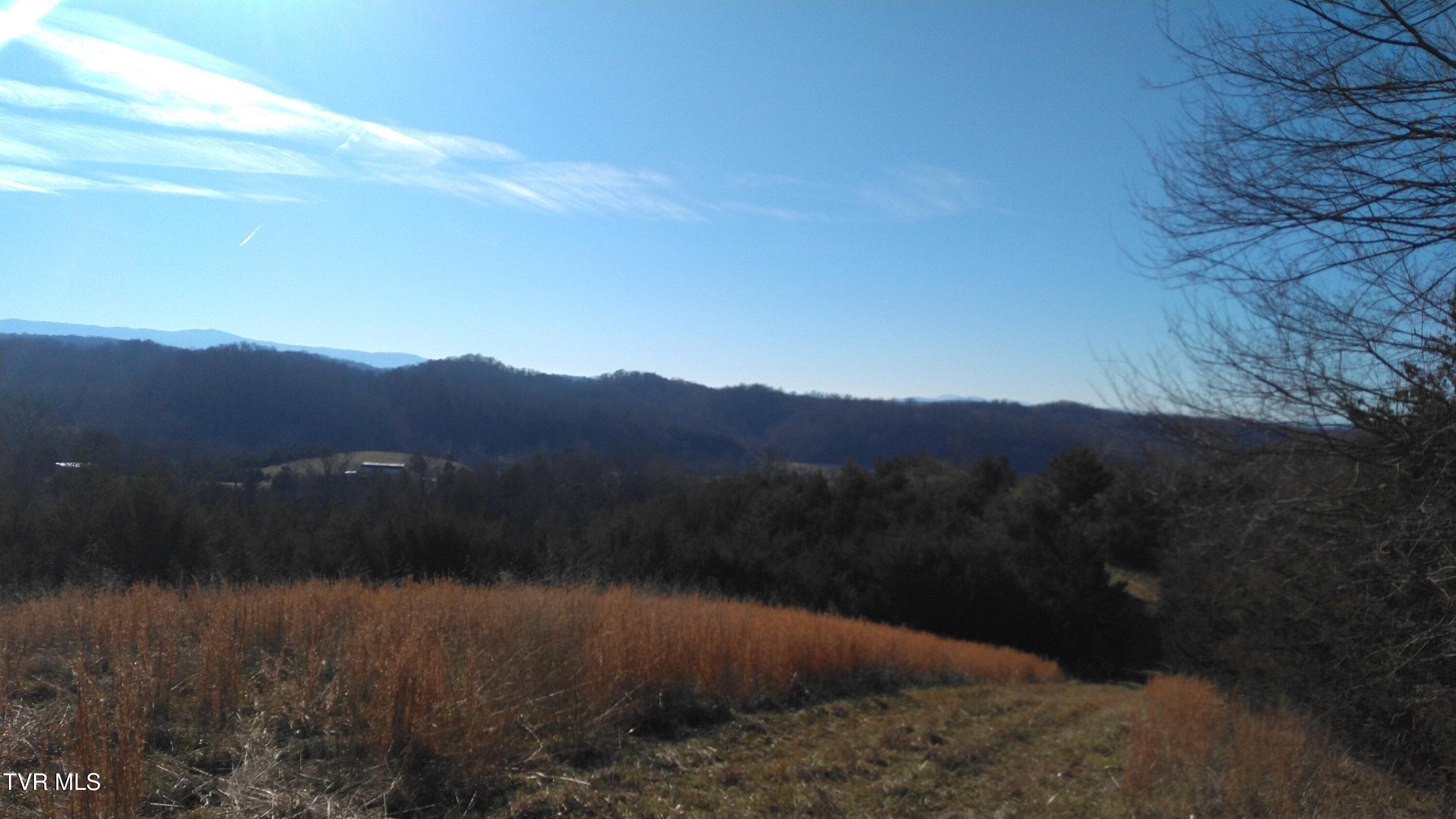 Image 2: Roaring Fork Rd