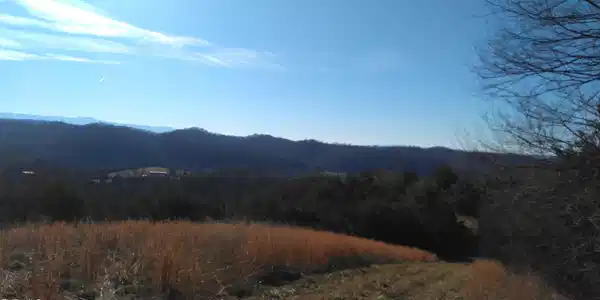 Image 2: Roaring Fork Rd
