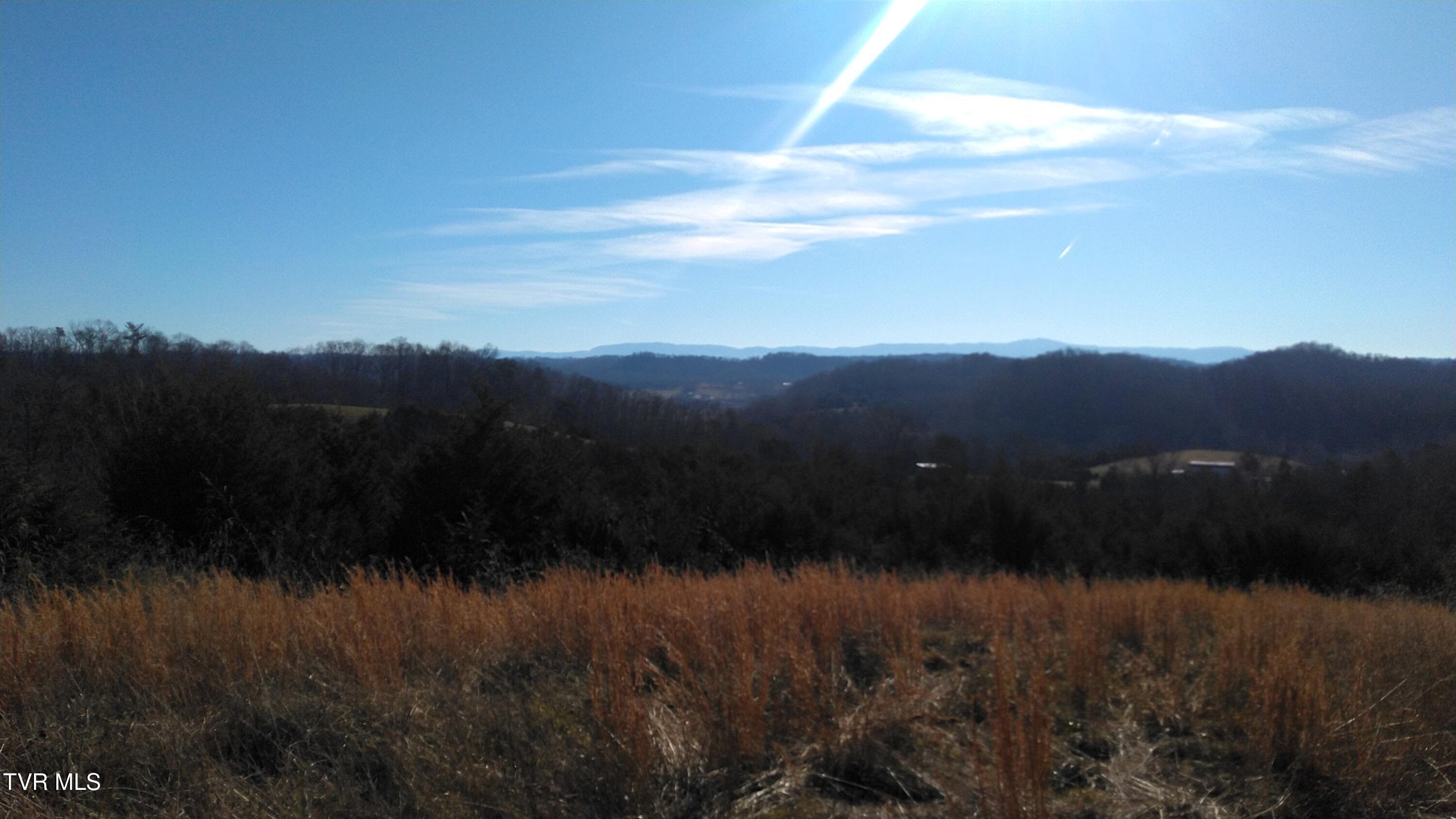 Image 3: Roaring Fork Rd