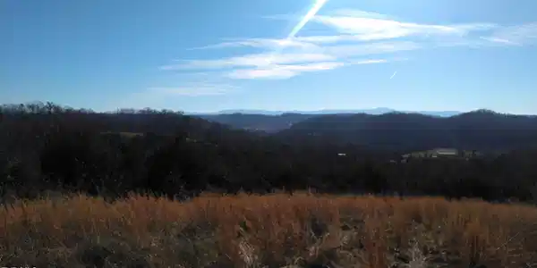 Image 3: Roaring Fork Rd