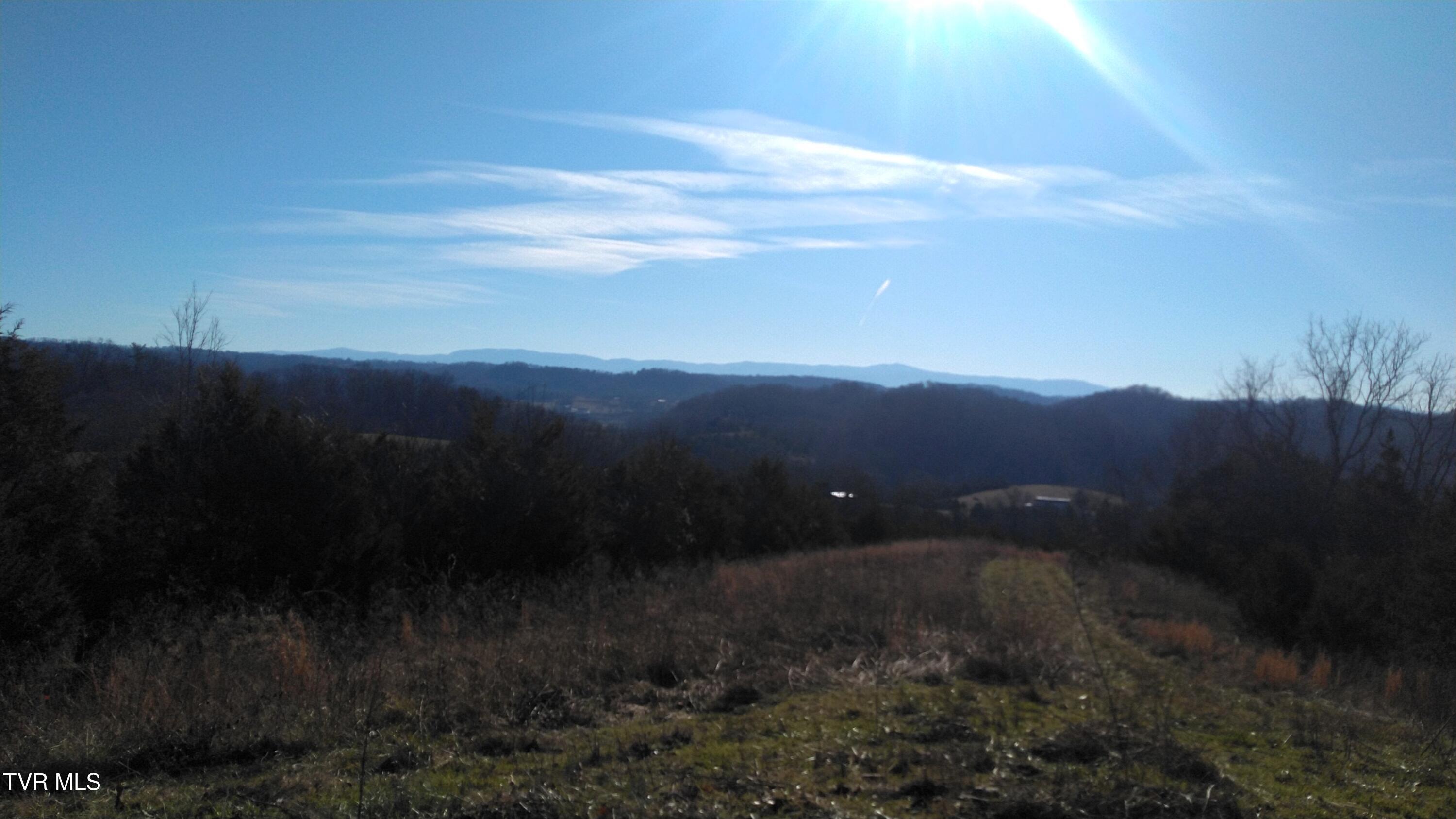 Image 4: Roaring Fork Rd