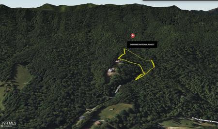 157 Pfeiffer Ridge Road