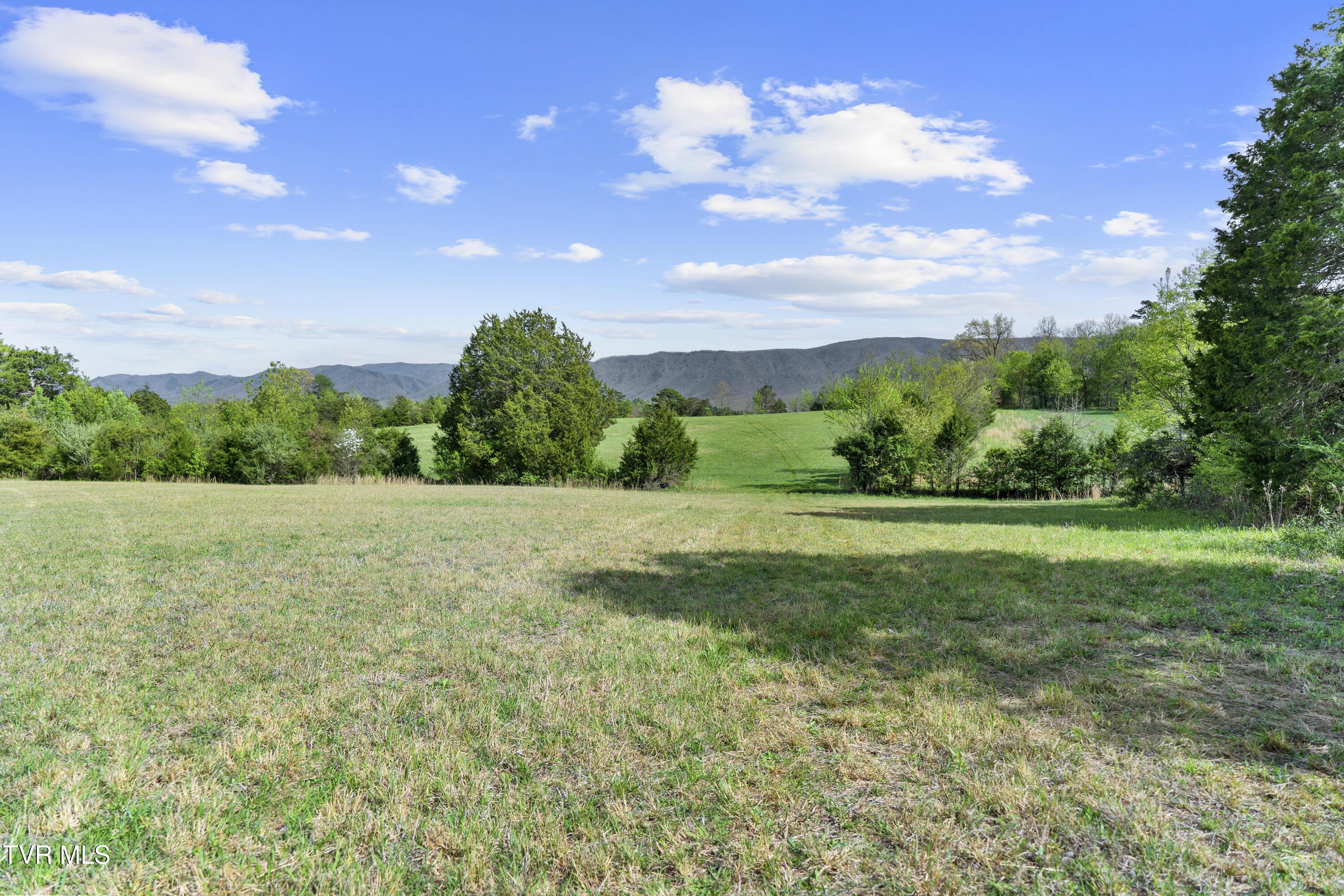 Image 2: DSC09745