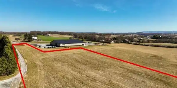 Image 2: lot 3, pic