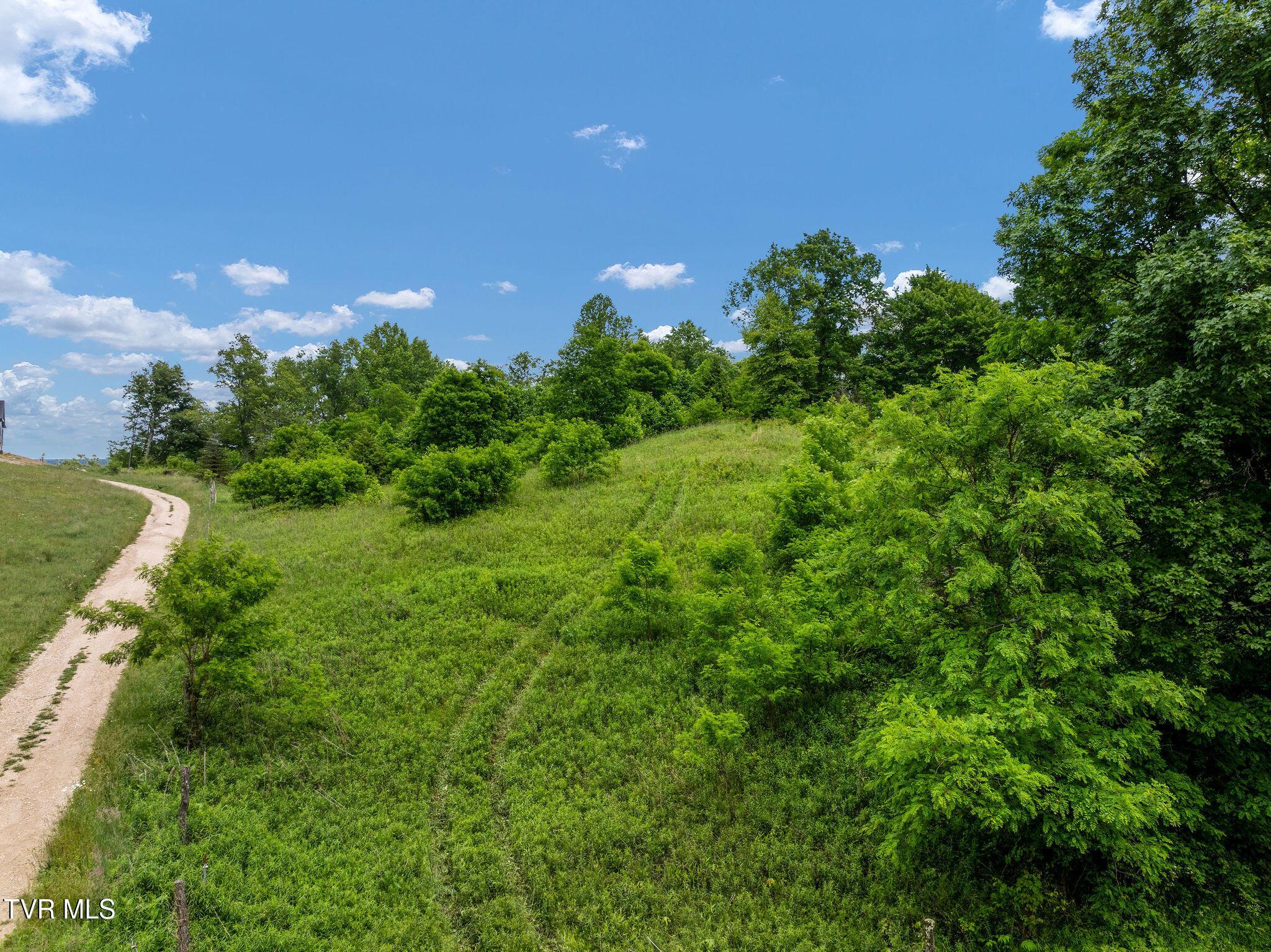 Image 4: DJI_0368