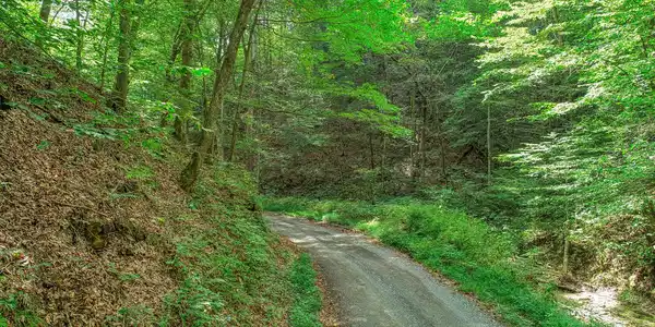 000 Rocky Hollow Road