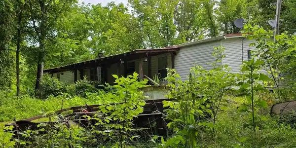 779 Pawpaw Road