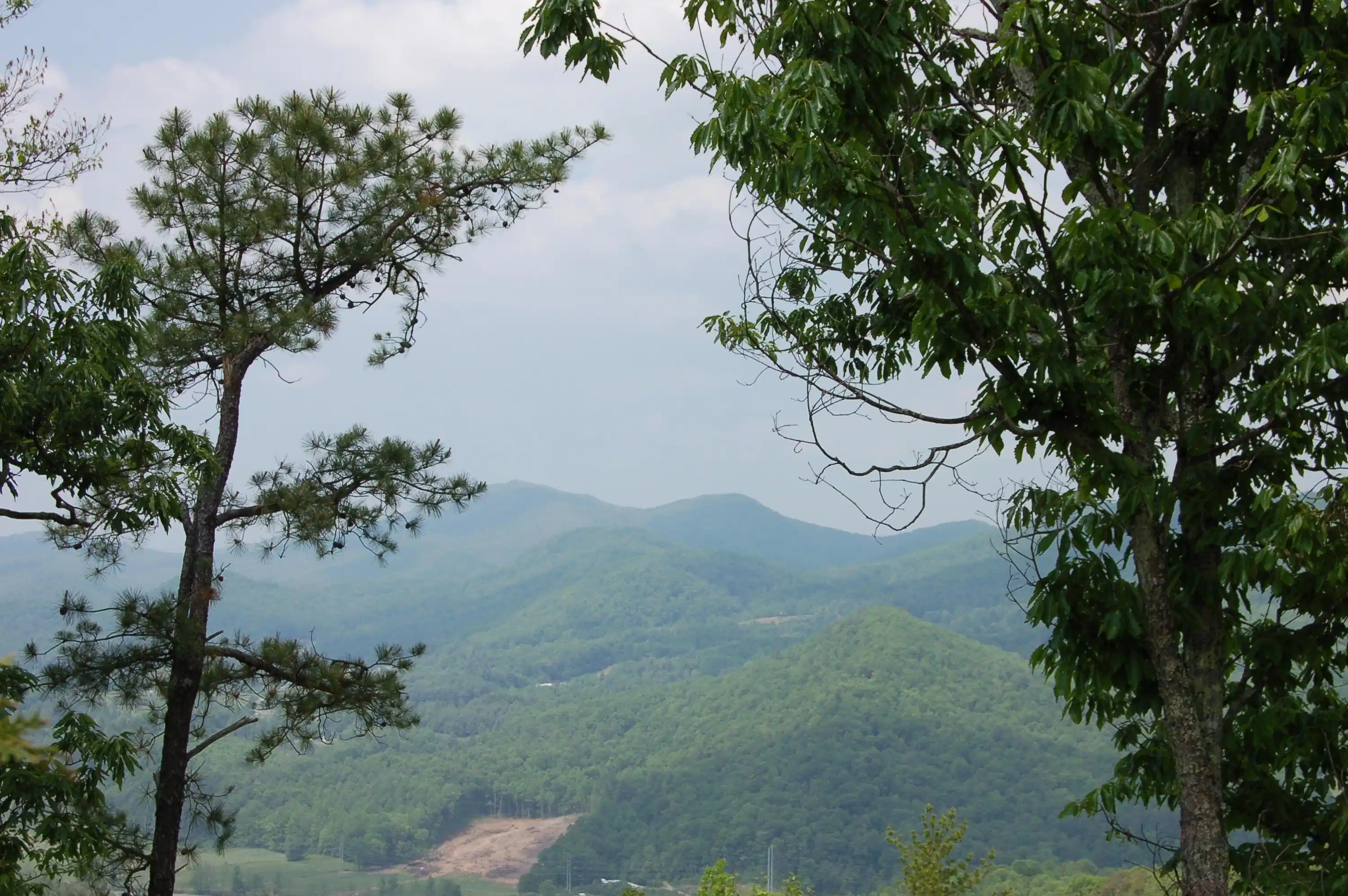 Image 1: View to Iron Mtn.