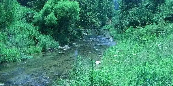 Image 2: Doe Creek