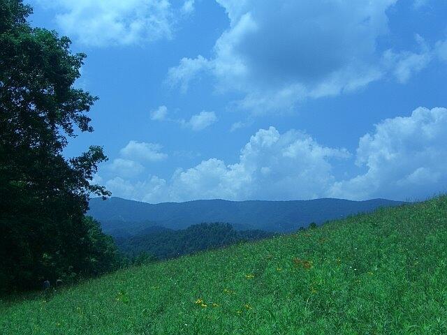 Image 3: View to ridge