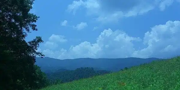 Image 3: View to ridge