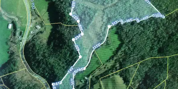 Image 4: Doe Creek land