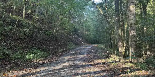 Tbd Holt Town Rd Off