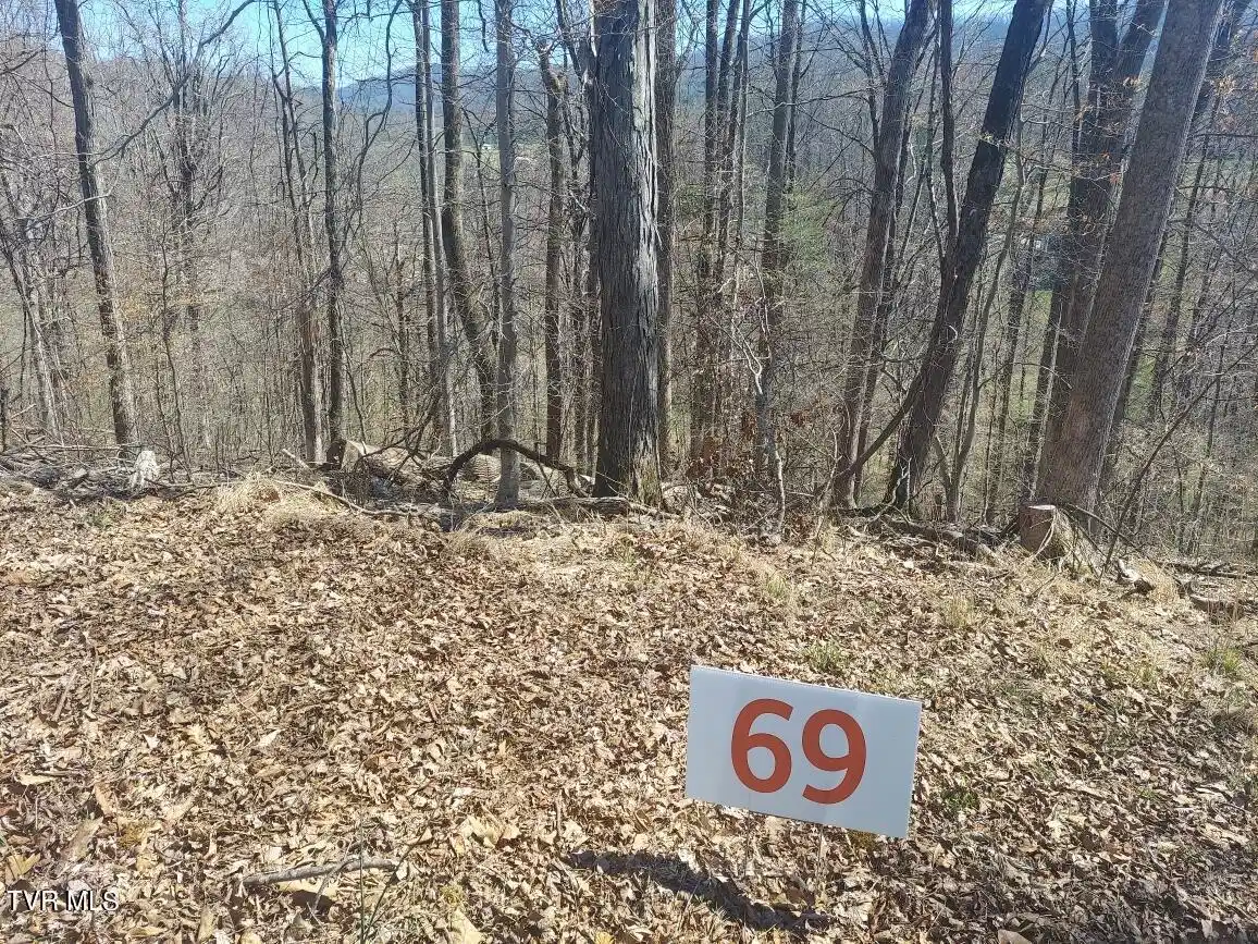 Image 1: Lot 69