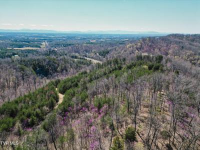 Tbd Stone Mountain Rd.