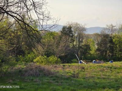 Tbd Boatmans Mountain Lot 2 Road