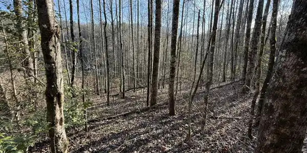3.18 Acres Blue Mill Road