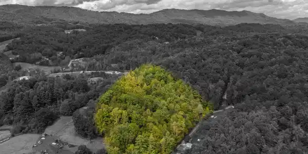 Image 3: RobertTolley-Aerials-Boundary2-1