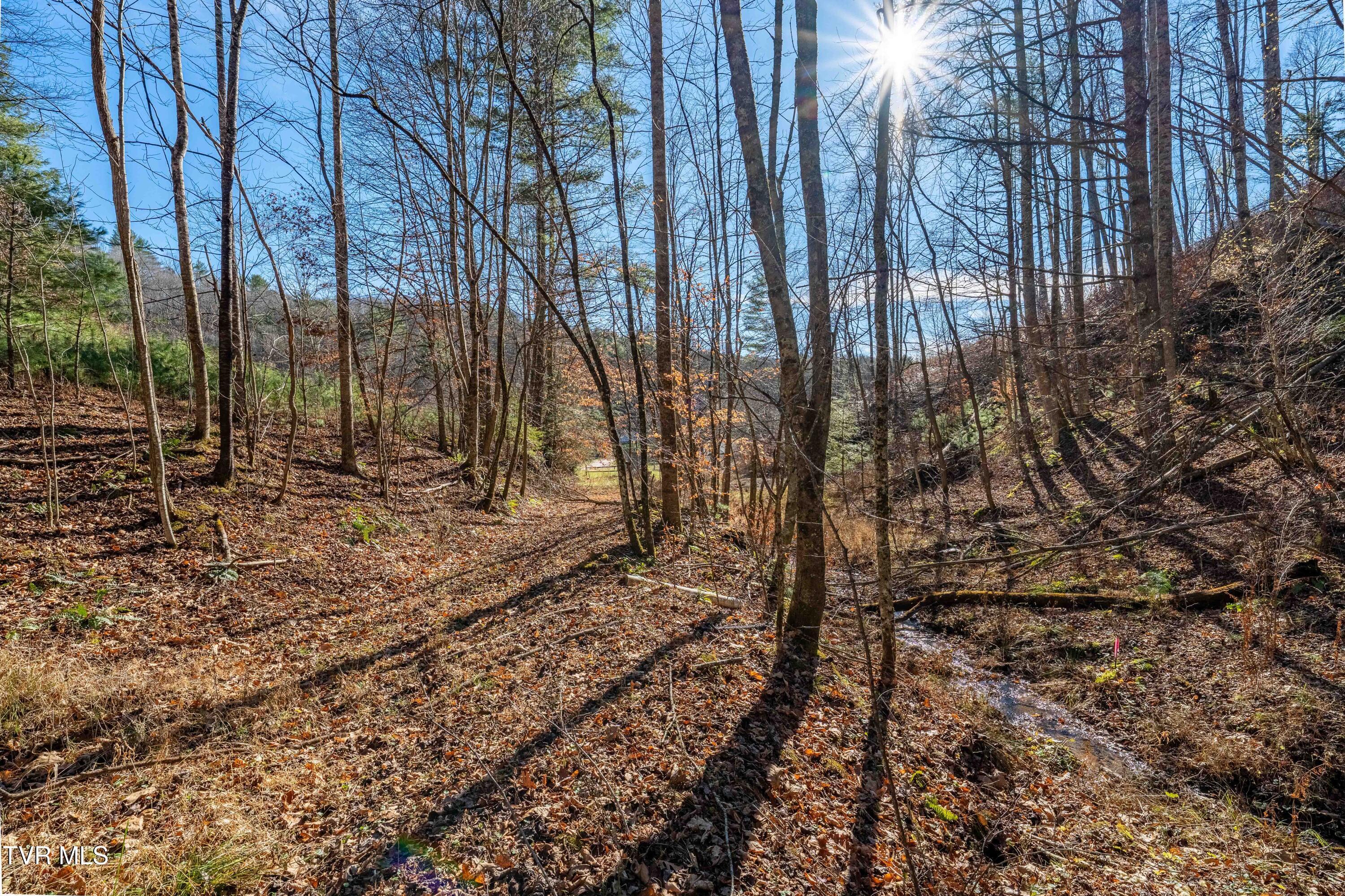 Image 2: TBD Taylor Rd (26 of 28)