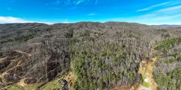 Image 3: TBD Taylor Rd (2 of 28)