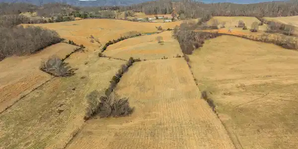 Image 2: Aerial view