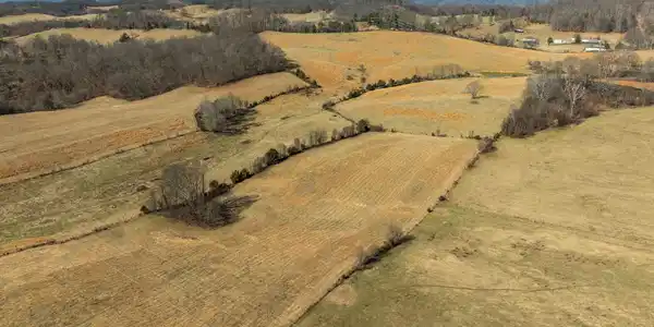 Image 3: Aerial