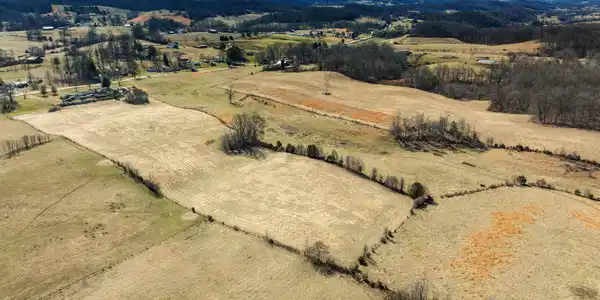Image 4: Aerial