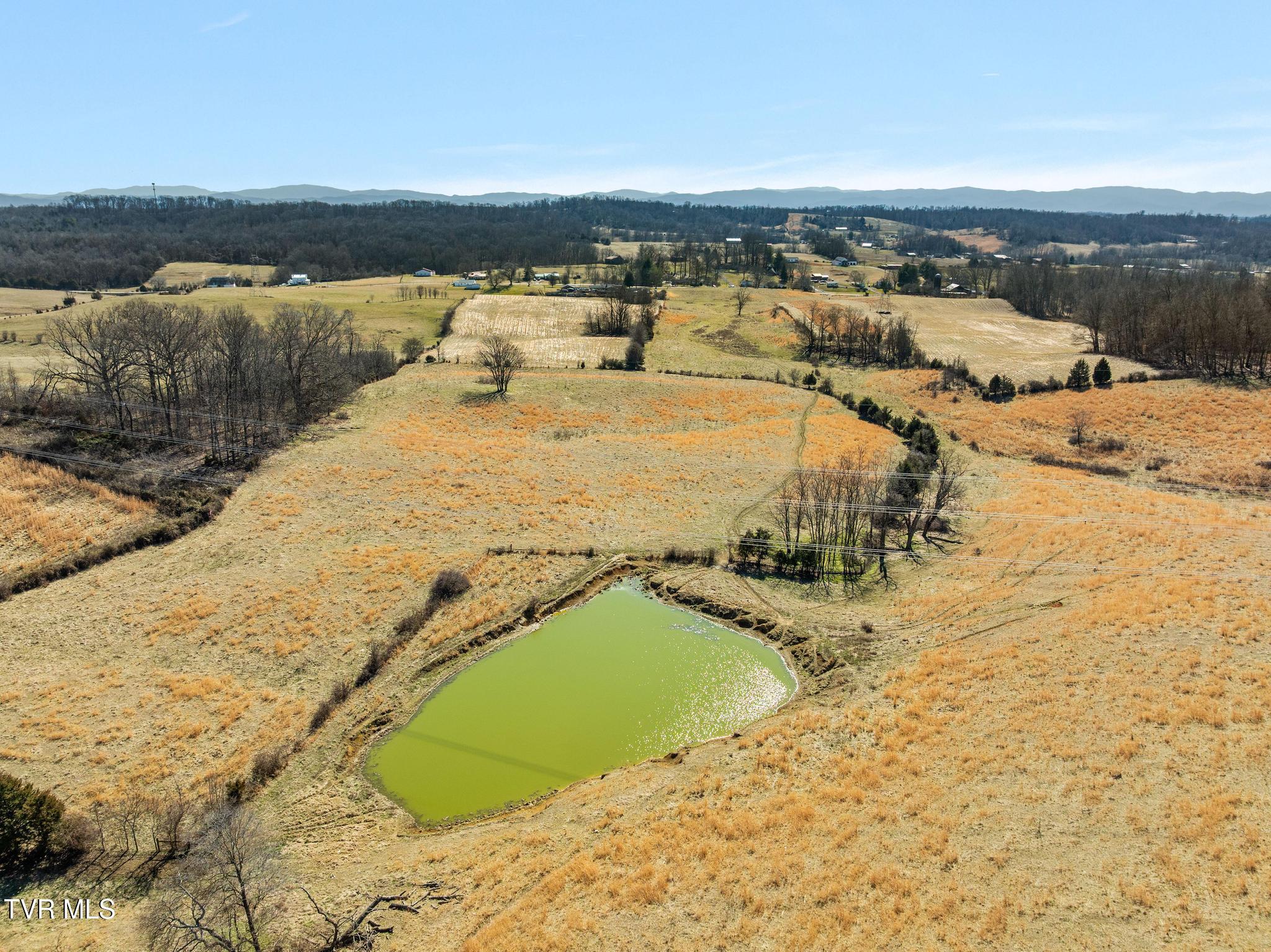 Image 2: Private pond on property