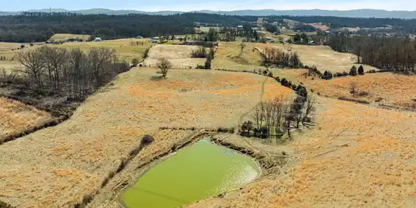 Image 2: Private pond on property