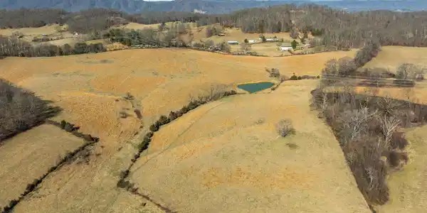 Image 3: Aerial