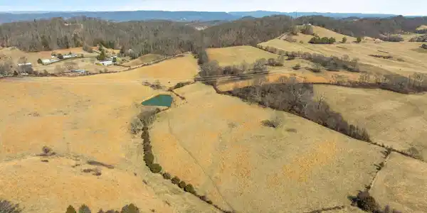 Image 4: Aerial