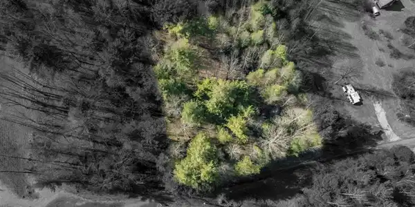 Image 2: Norris-Aerials-26