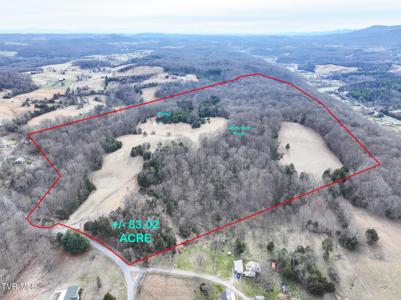 Tbd Pitt Loop