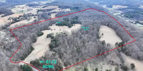 Tbd Pitt Loop