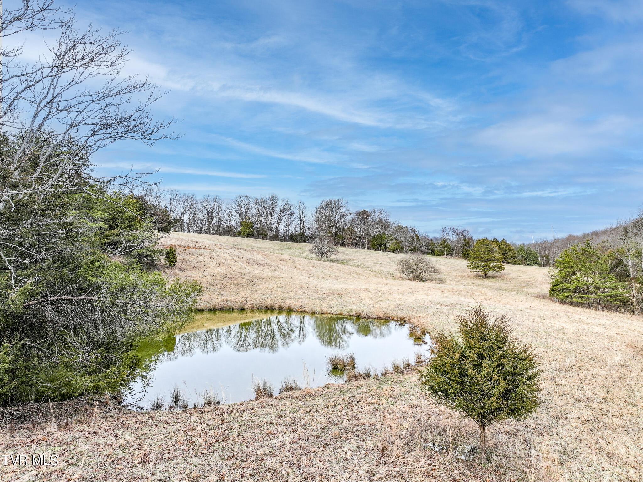 Image 4: DJI_20260224160733_0083_D-Edit
