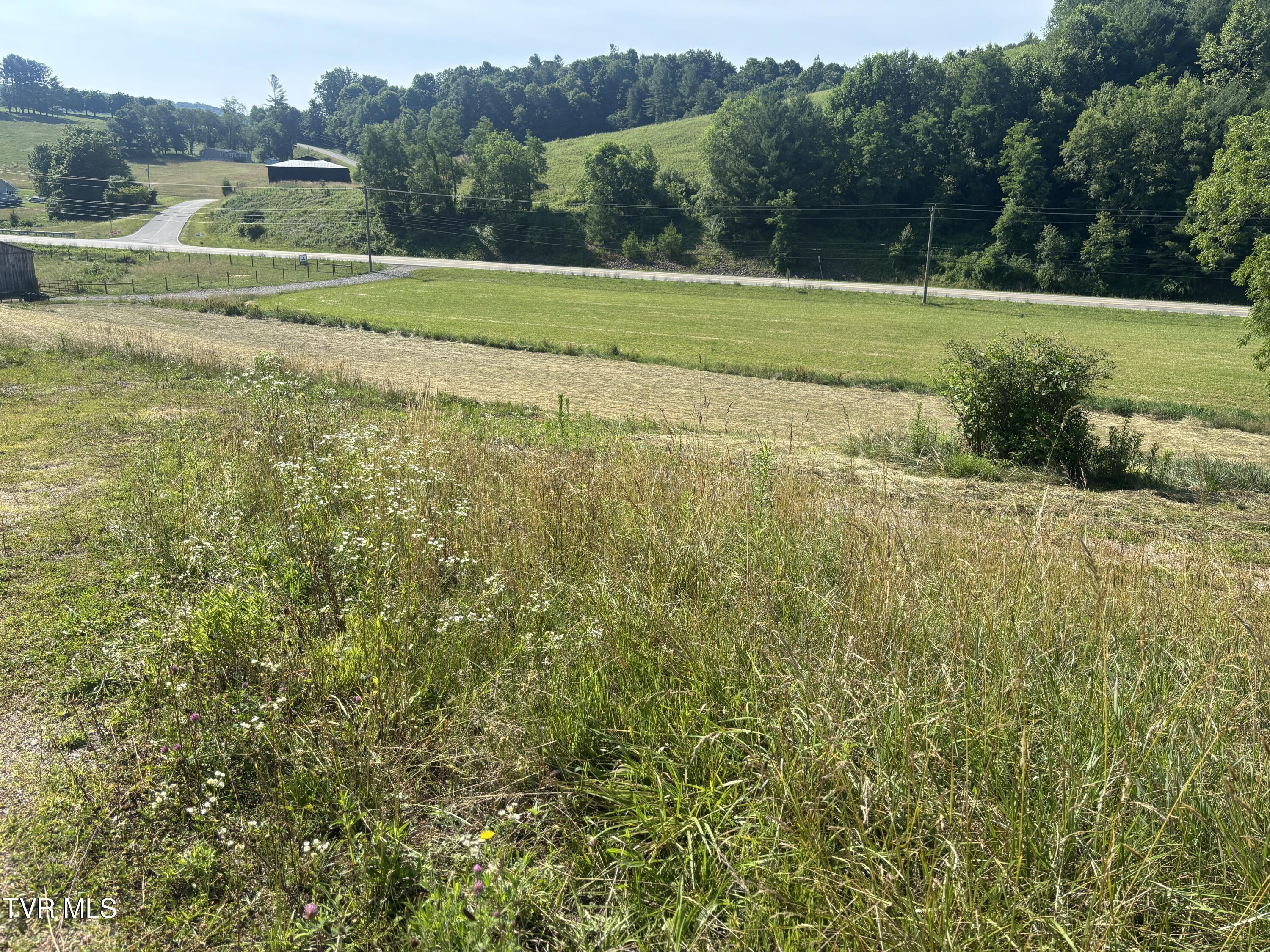 Image 3: IMG_5540