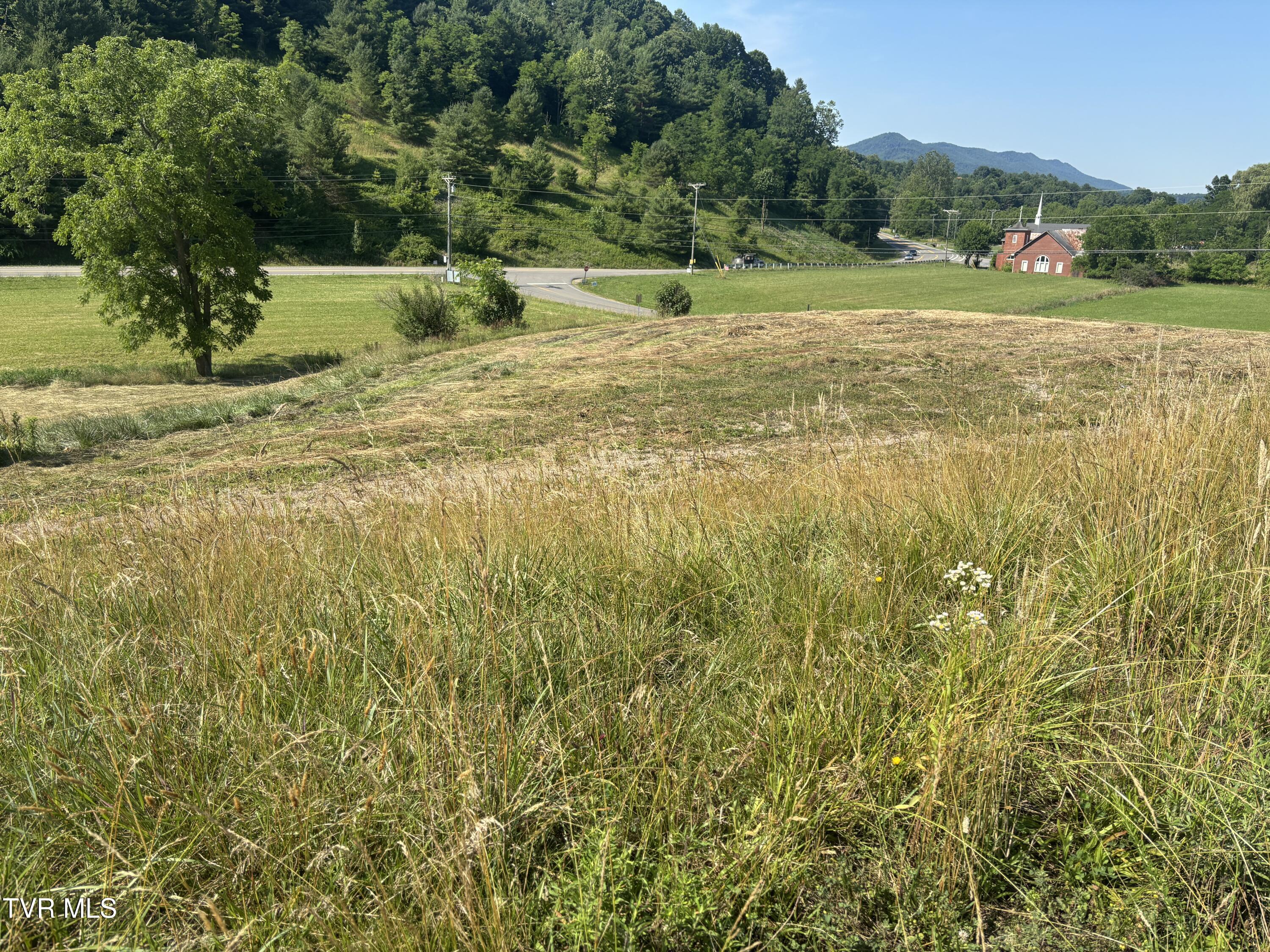 Image 4: IMG_5541