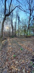 0 Foxfire Lane