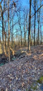 5312 Foxfire Place