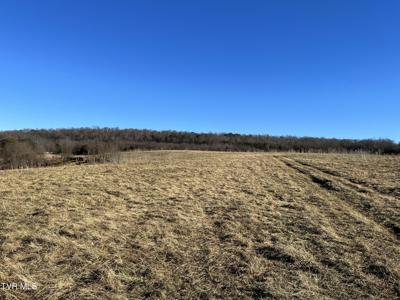 Tbd Lot 2 Old Asheville Highway