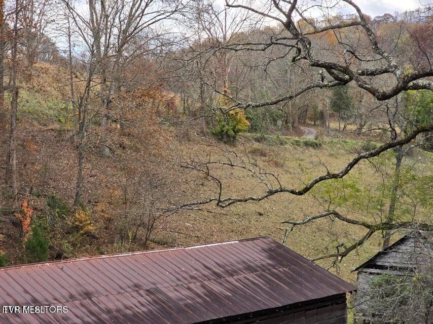 Image 4: 4