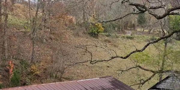 Image 4: 4